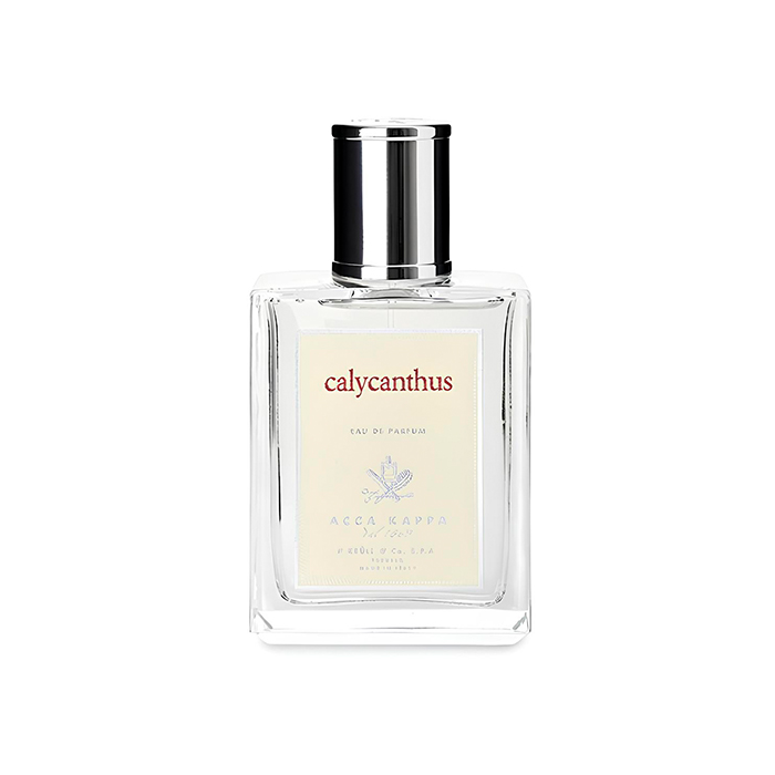 acca Calycanthus l 1